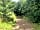 Camping at The Fold: Woodland paths at the site (photo added by manager on 24/07/2023)