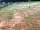 Muddycreek Farm: Fun fun fun