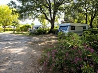 Kempinghely számára, szolgáltatás: opcionális elektromos csatlakozás , talaj: fű