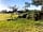 Willowbank Farm: Our first customer under the oak