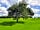 Cilsane Lodges: Apple trees (photo added by manager)