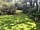 Sussex Topiary Campsite: Walks around the site (photo added by manager on 28/06/2021)