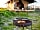 Under the Oak Glamping: Campsite fire (photo added by manager on 11/01/2019)