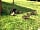 Park Rose Caravans: Visiting the campsite (photo added by visitor on 21/07/2015)