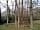 Top Corner Camping: Ancient woodland for shade