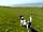 Morfa Bychan Holiday Park: Plenty of wide open spaces to walk furry friends (photo added by manager on 04/18/2018)