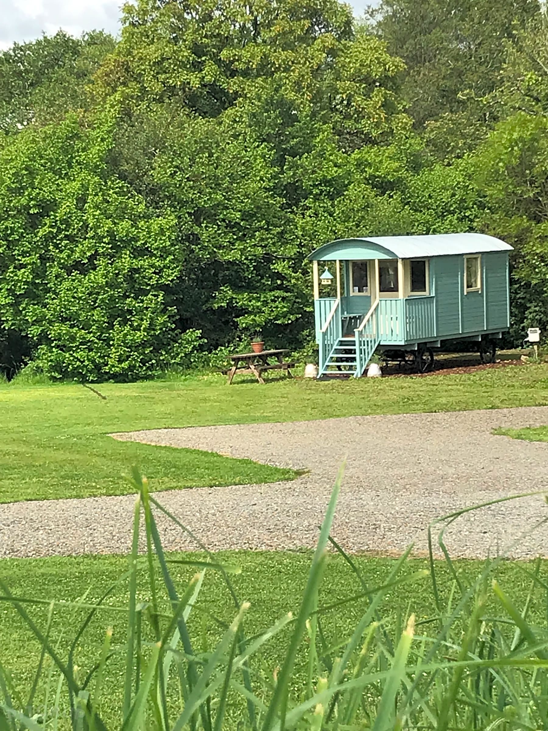 Escape to Orchard Springs: Your Northern California Campground Adventure