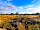 Bain View Glamping: Rural Lincolnshire views