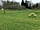 The Gaggle of Geese: Apple and pear orchard (photo added by manager on 12/09/2018)