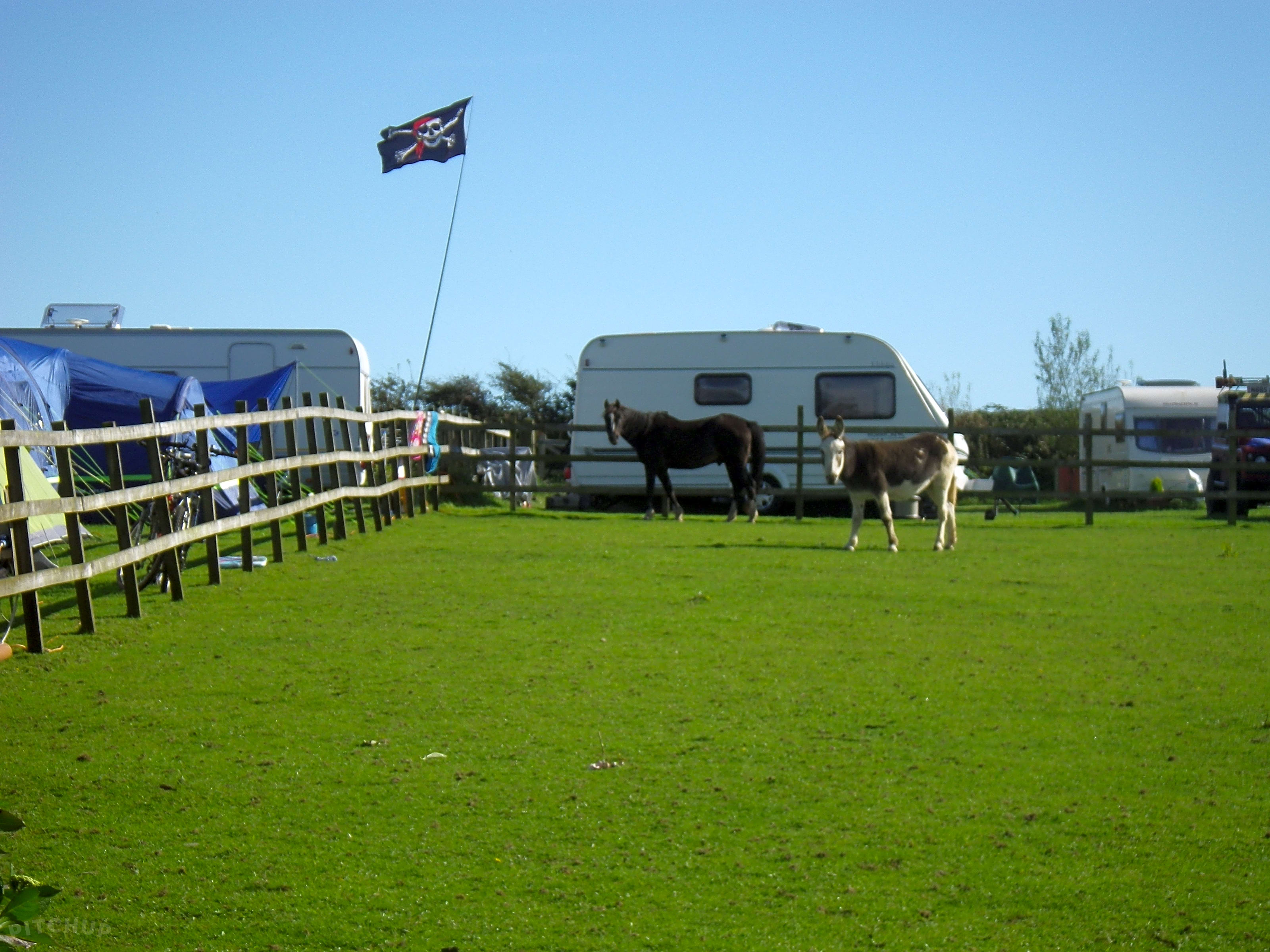 Sunnymead Farm, Updated 2020 prices Pitchup®