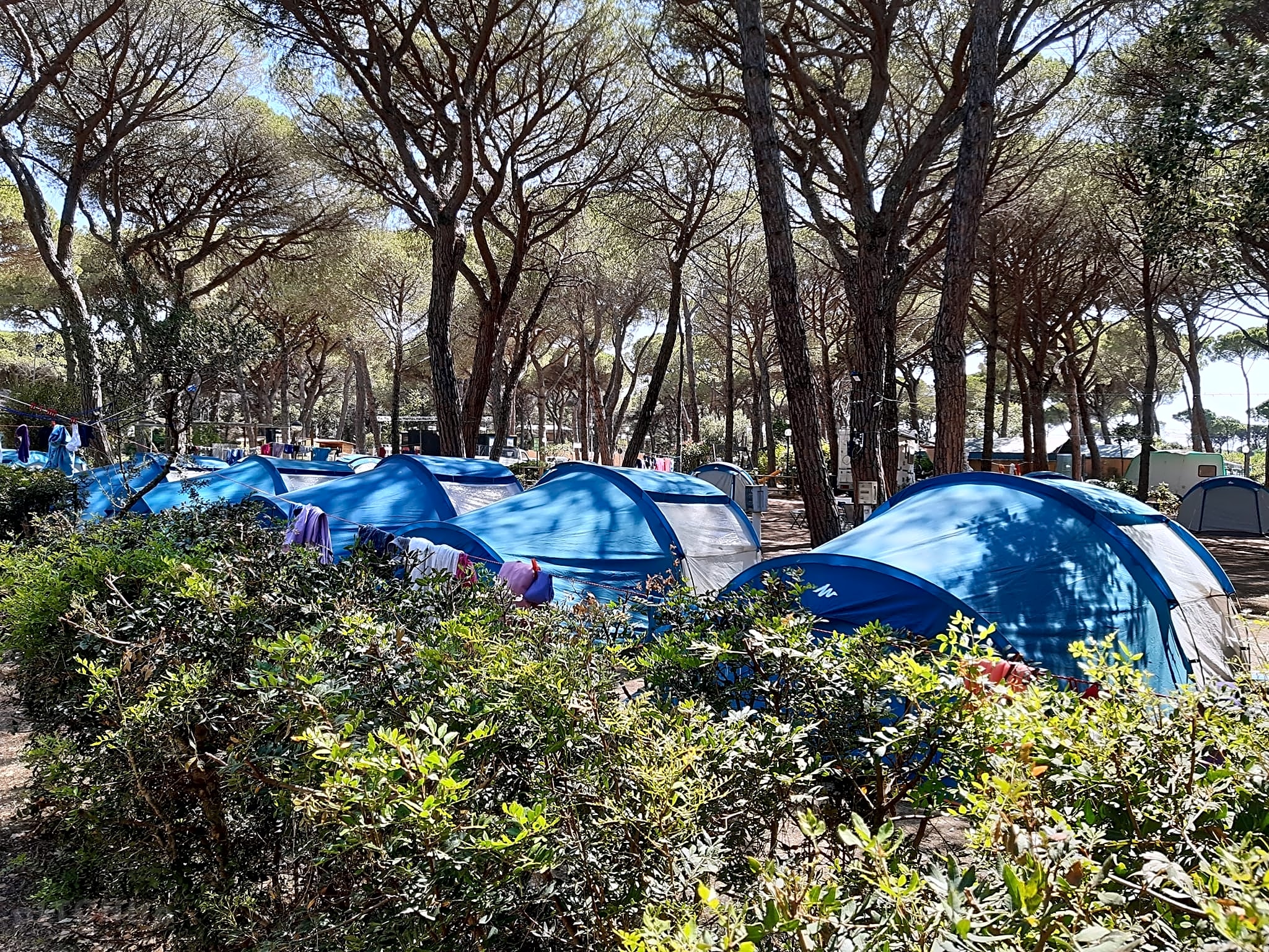 Camping La Principina, Grosseto, Toscana - Prezzi aggiornati per il 2025 |  Pitchup.com