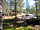 Camping Pod Heaven: The surroundings