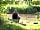 The Oaks Lakes Caravan Park