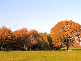 La Toutinière, Sept-Forges, Orne