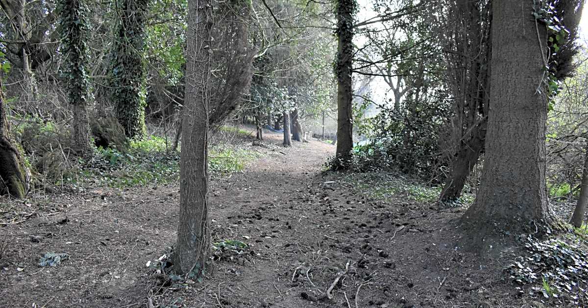 Manor Farm, Crewkerne Updated 2024 prices