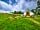 Hope Farm Retreats: Bell tent
