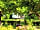 Camping La Boissière: Each pitch has plenty of shade and plenty of sun