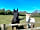 Little Bull Hill: Timmy and Little Diamond, the friendly yard ponies