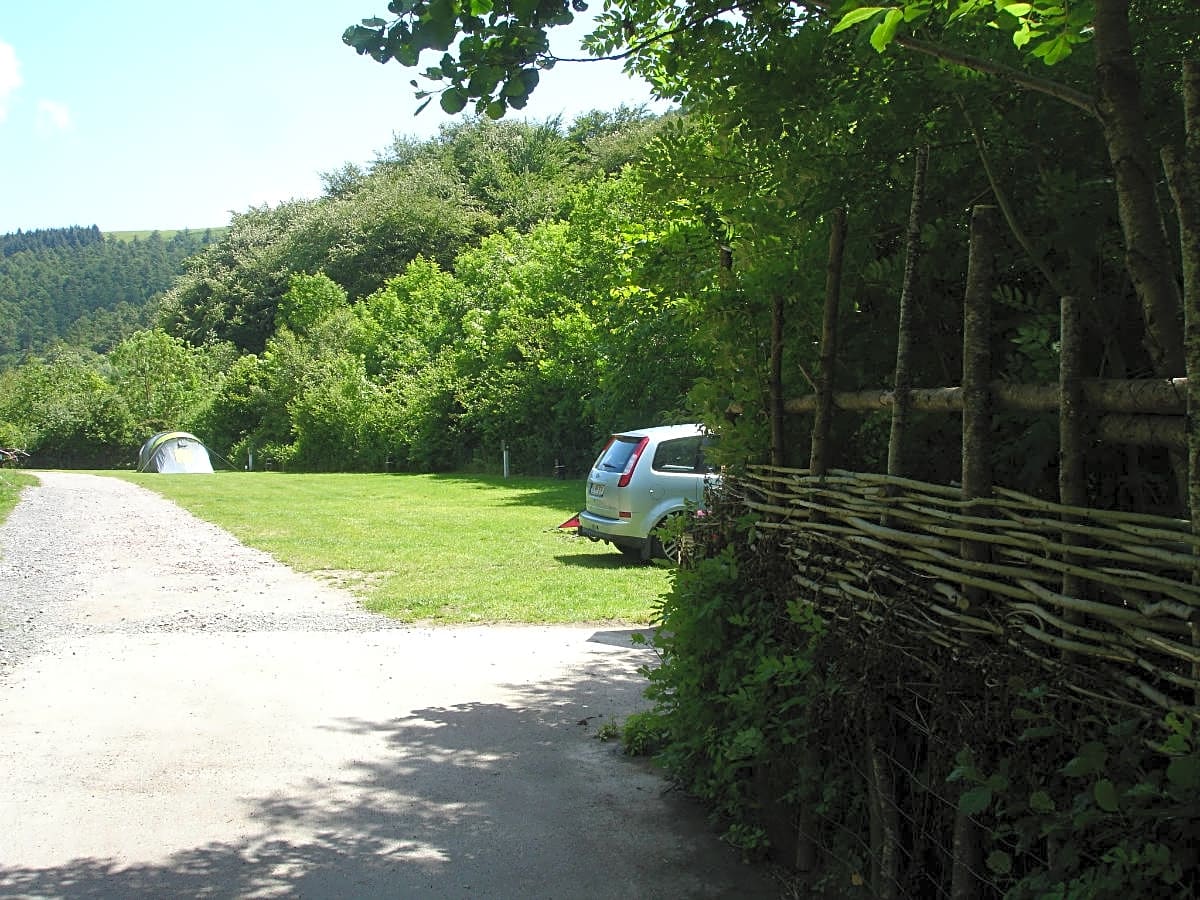 Cwmcarn best sale forest camping