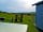 Wallis Farm: View across the fields from the garden area, with Tilly, Hattie and Gracie looking on (photo added by manager on 16/09/2023)
