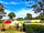 Trapp Fishery Caravan and Camping: Visitor image of pitches with views