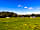 Benville Manor Camping: Big field for tents (photo added by  on 08/06/2021)