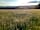 Exmoor Blueberries: The view from most pitches