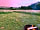 Cosmos Camping: A fire pit on each pitch was a lovely added bonus
