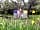 Great Glen Yurts
