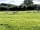 Somerset Reindeer Ranch: Reindeer grazing next to pitch field