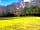 Holmsley Caravan and Camping Site: Outlook (photo added by  on 12/04/2023)
