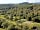 Cobleland Campsite: Aerial view of the site's forest setting (photo added by manager on 07/01/2023)