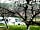 Bryndu Caravan and Camping: Caravan pitch (photo added by manager on 31/03/2019)