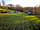 Broad Close Farm
