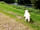 Afon Teifi Caravan and Camping