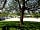 Park Rose Caravans: Spacious car park (photo added by manager on 05/07/2013)