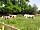 Huckleberry Farm: Meet the ponies (rides can be booked during your stay at an additional charge) (photo added by manager on 18/08/2023)