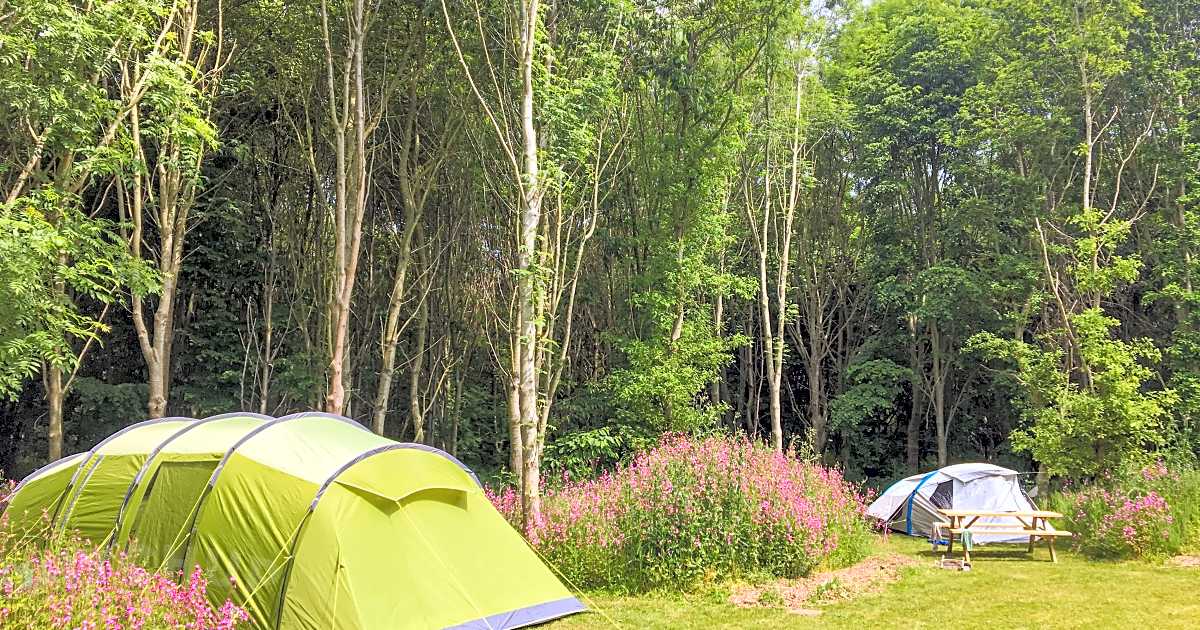 New Farm Holidays, Boston Updated 2024 prices