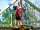 Holme Pierrepont Country Park: Sky Trail (photo added by manager on 07/06/2023)