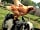 Blaithwaite House: Meet the goat and chickens