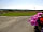 Stroxworthy Farm Campsite: Colourful flowers around the pitches