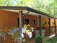 Our bungalows with comfy terrace Our bungalows with comfy terrace