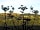 Redwood Valley - Woodland Cabin and Yurts: Looking south across the fields (photo added by manager on 10/07/2018)