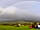 Petruth Paddocks: A day of rain cleared the site. Those of us who stuck it out were rewarded with this.