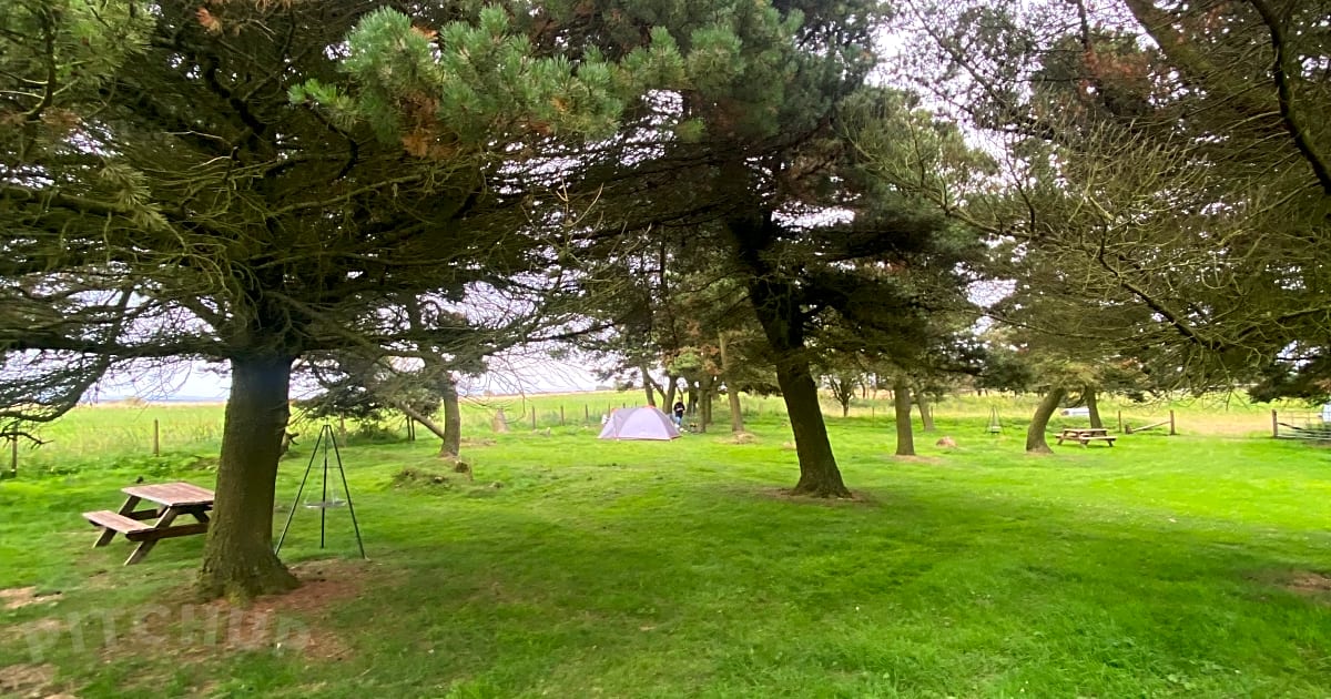 High Paradise Farm, Thirsk Updated 2021 prices Pitchup®