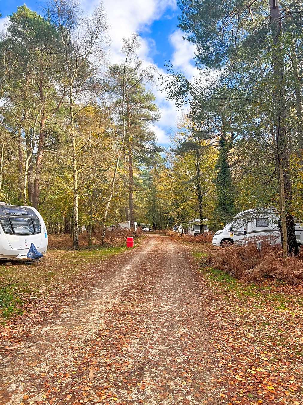 Campsites in Brockenhurst, Hampshire 2024 from £7/nt