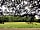 Warbleton Farms Campsite: Grass pitches surrounded by trees