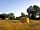 Cadora Woods Glamping: Evening view