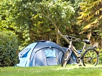Parcel·la de gespa amb electricitat per a tenda de campanya o per a remolc tenda