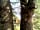 Coiltie Glampod: Peaceful wildlife haven (photo added by manager on 05/04/2022)